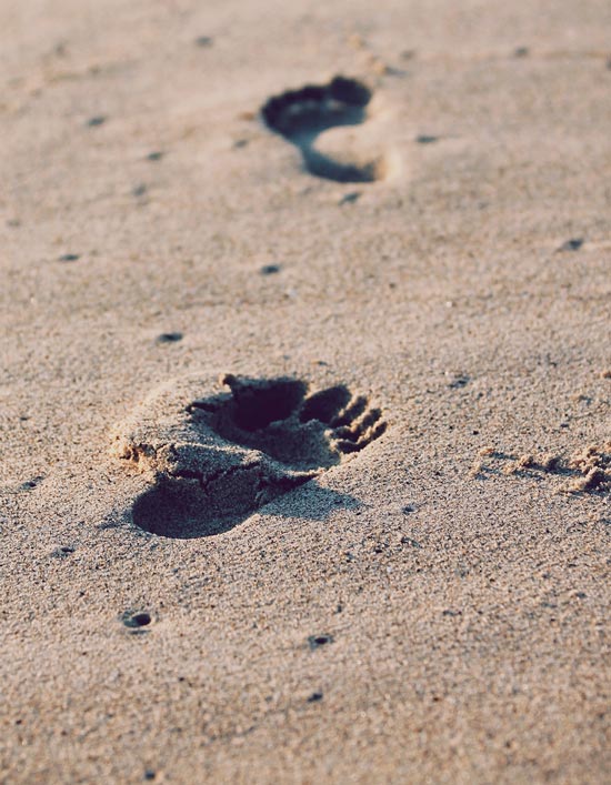 multisteps-footprint